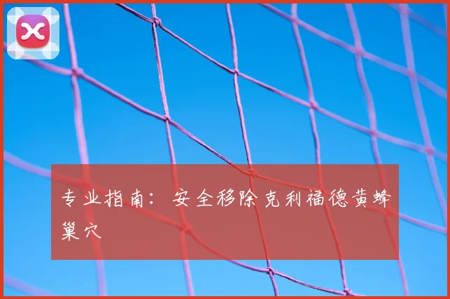 专业指南：安全移除克利福德黄蜂巢穴