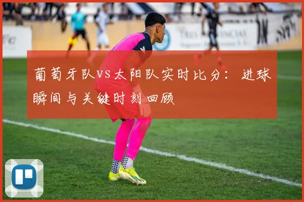 葡萄牙队vs太阳队实时比分：进球瞬间与关键时刻回顾